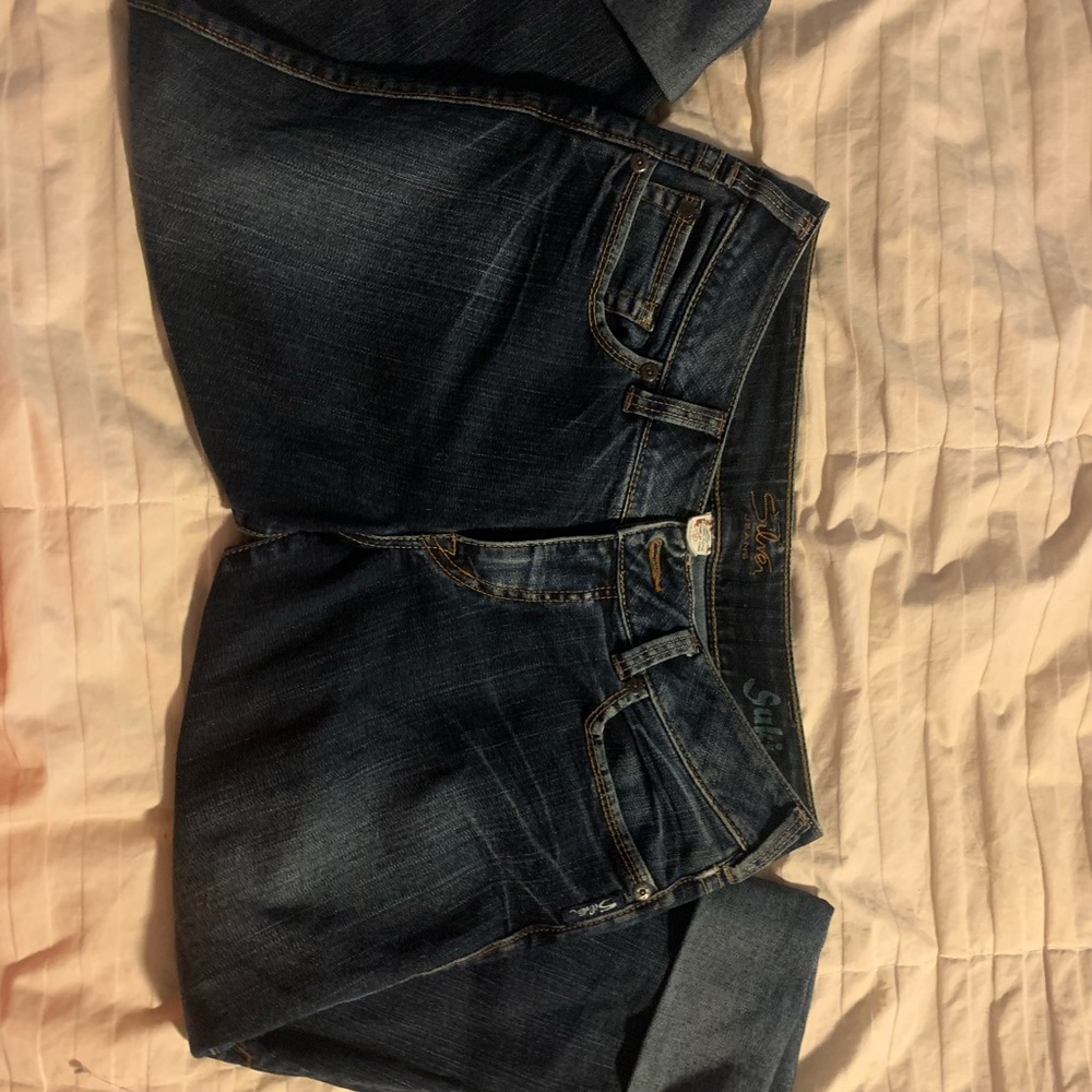 Silver Cropped